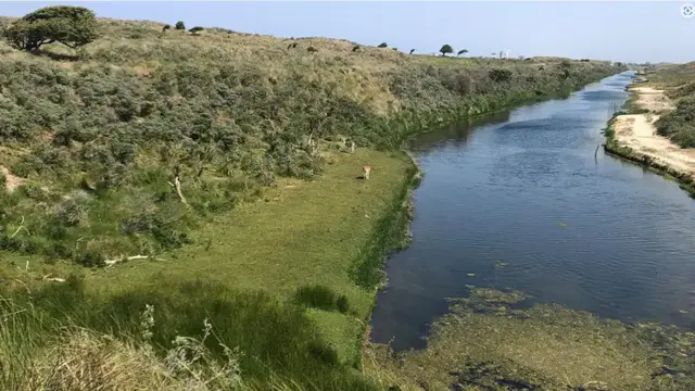 AI brengt dierenleven in de Amsterdamse Waterleidingduinen in beeld